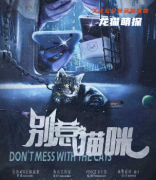 《别惹猫咪》