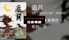 百变大侦探系列|追月