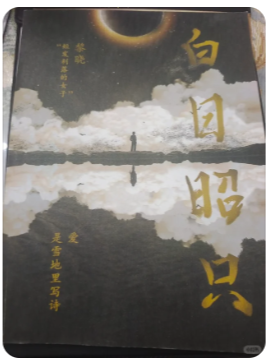 白日昭只剧本杀