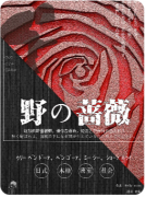 野の蔷薇