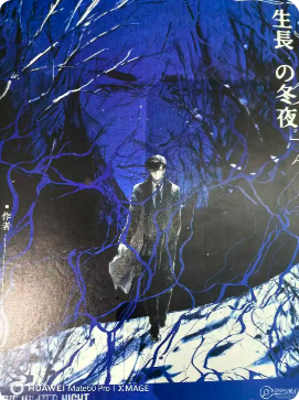 《藤蔓生长的冬夜》剧本杀